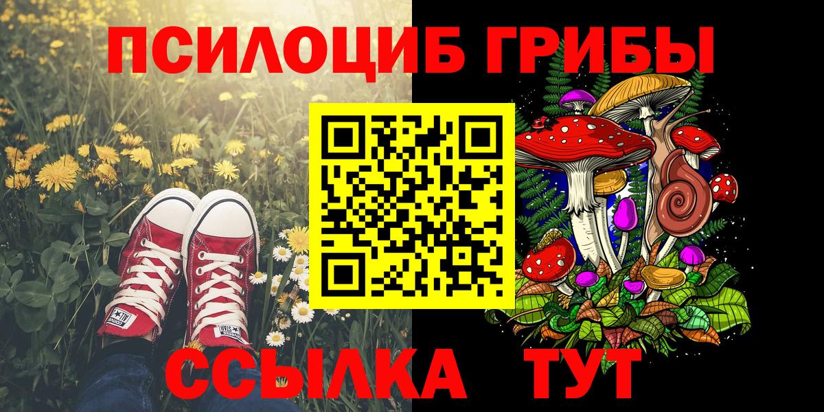 Зима  Галлюциногенные грибы мухоморы  Вход с VPN 